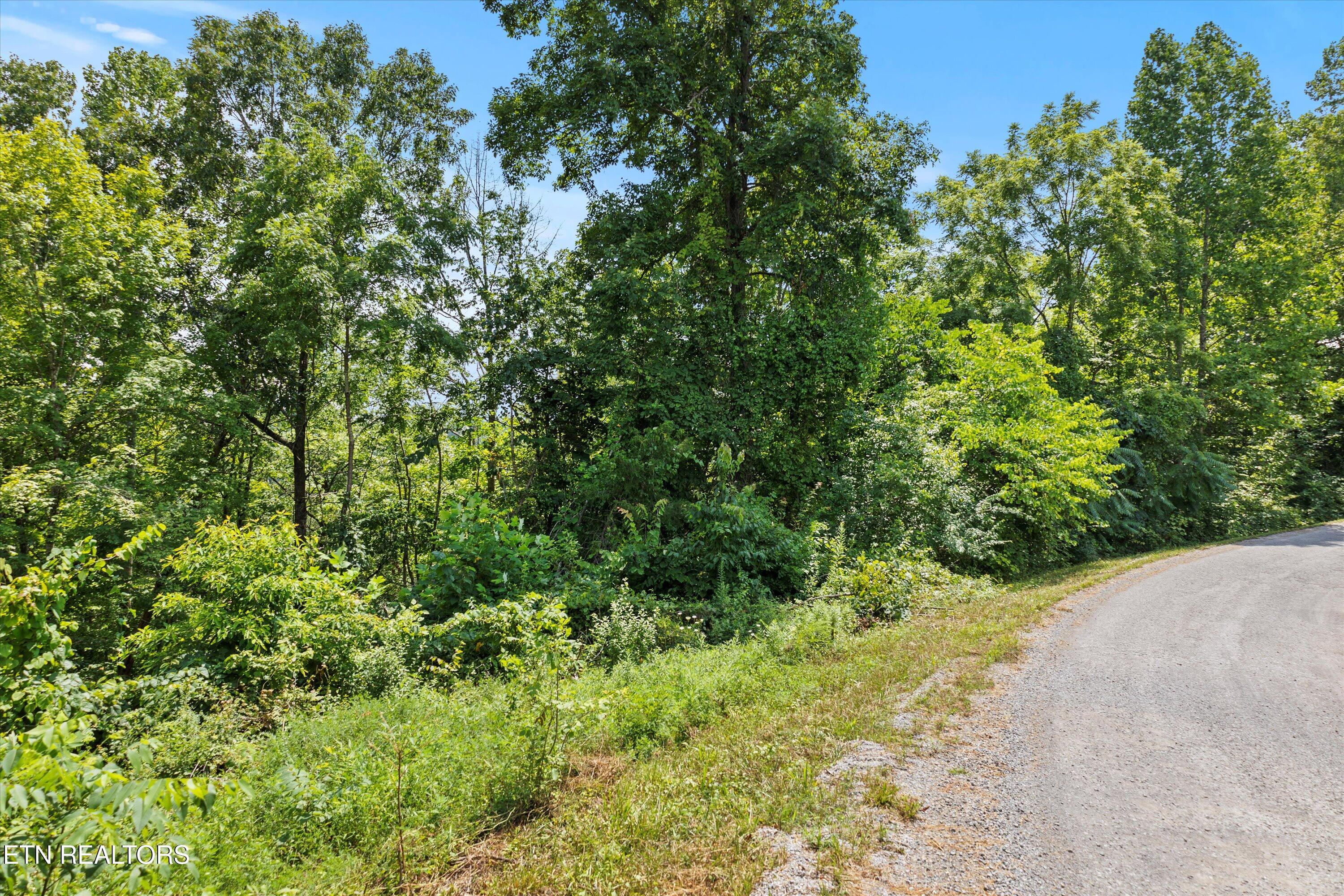 711 Jim Lee Ridge Road La Follette, TN 37766 - Photo 12 of 13 12-RS6_0011