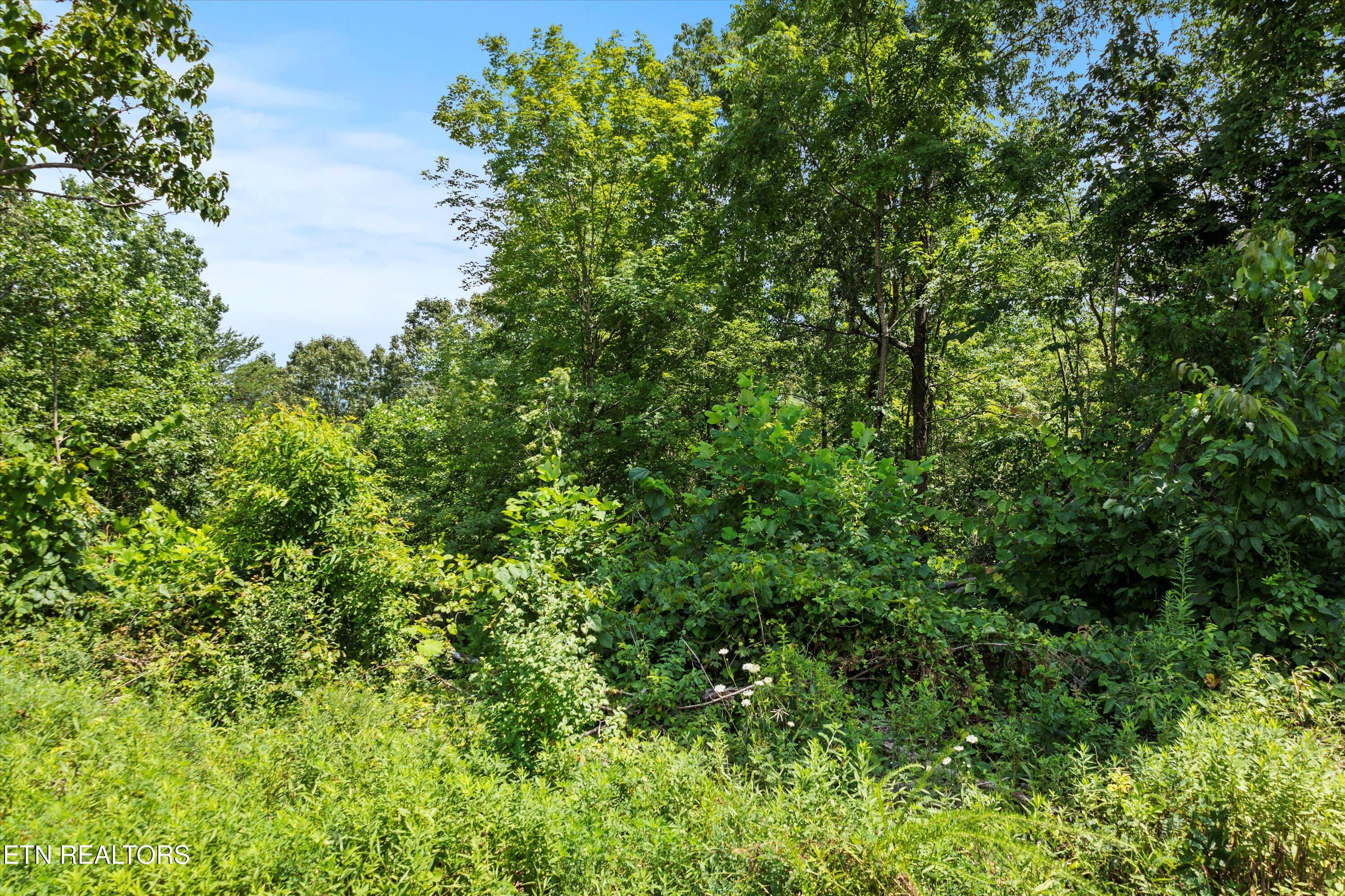 711 Jim Lee Ridge Road La Follette, TN 37766 - Photo 13 of 13 13-RS6_0017