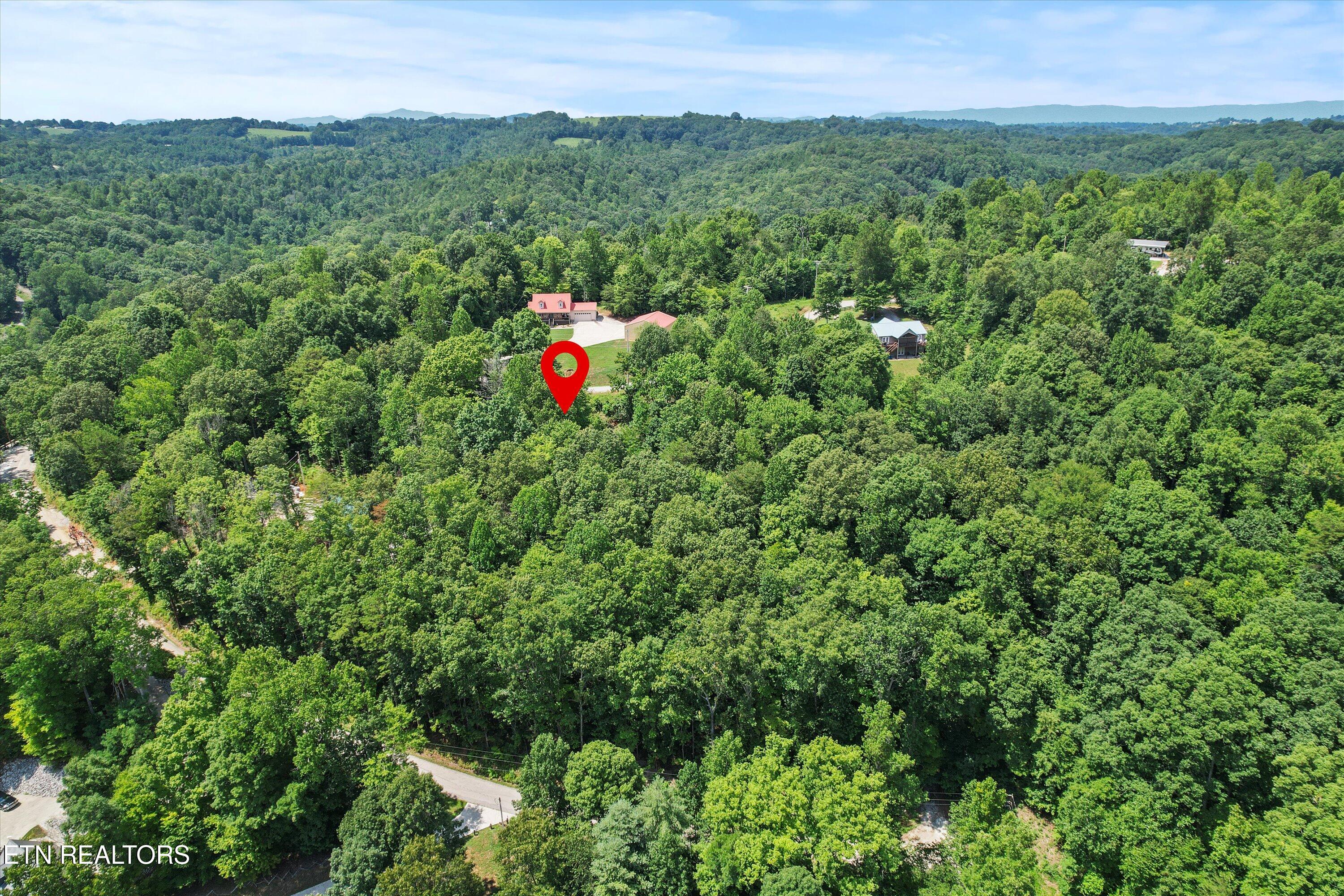 711 Jim Lee Ridge Road La Follette, TN 37766 - Photo 4 of 13 04-DJI_0021