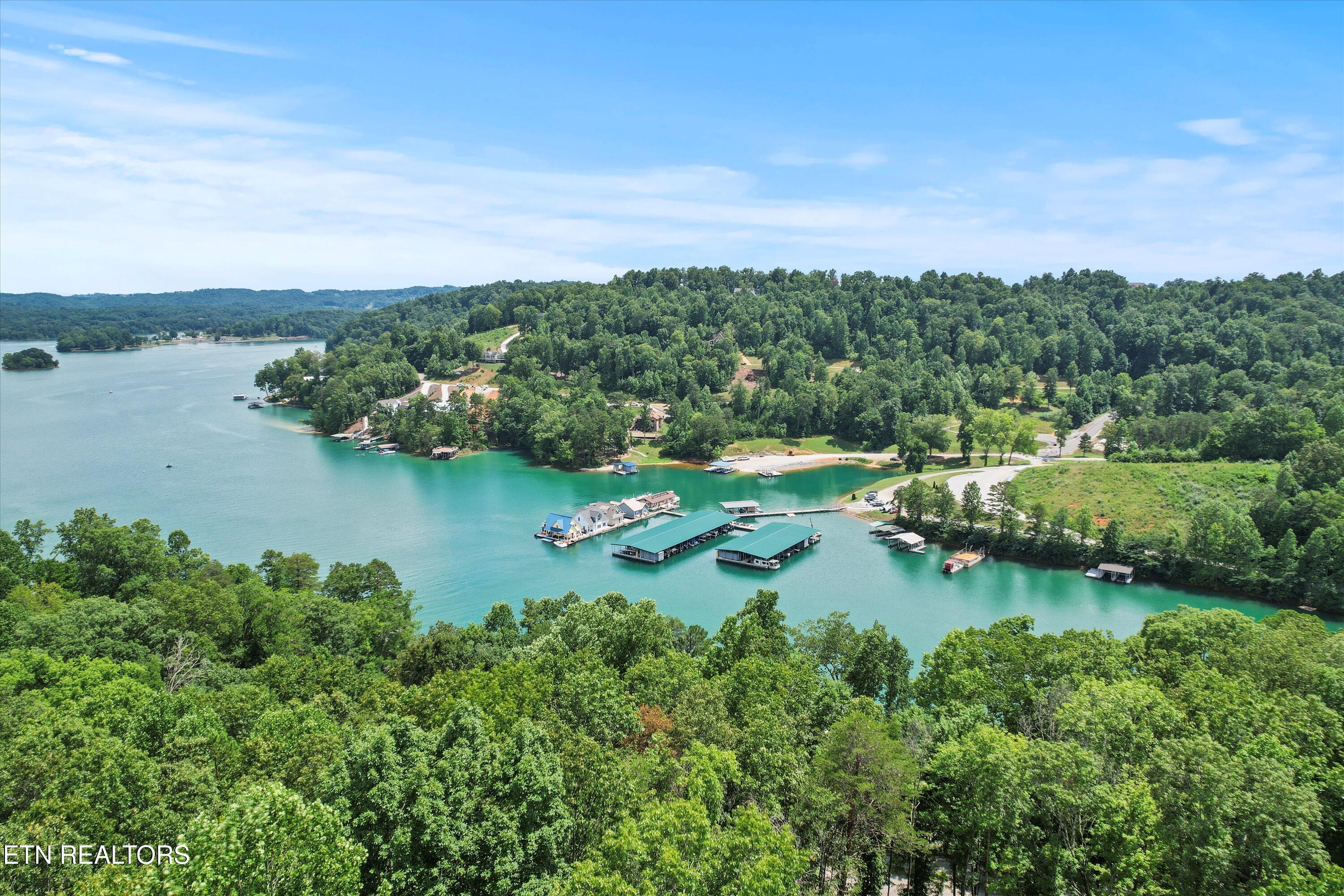 711 Jim Lee Ridge Road La Follette, TN 37766 - Photo 6 of 13 06-DJI_0032