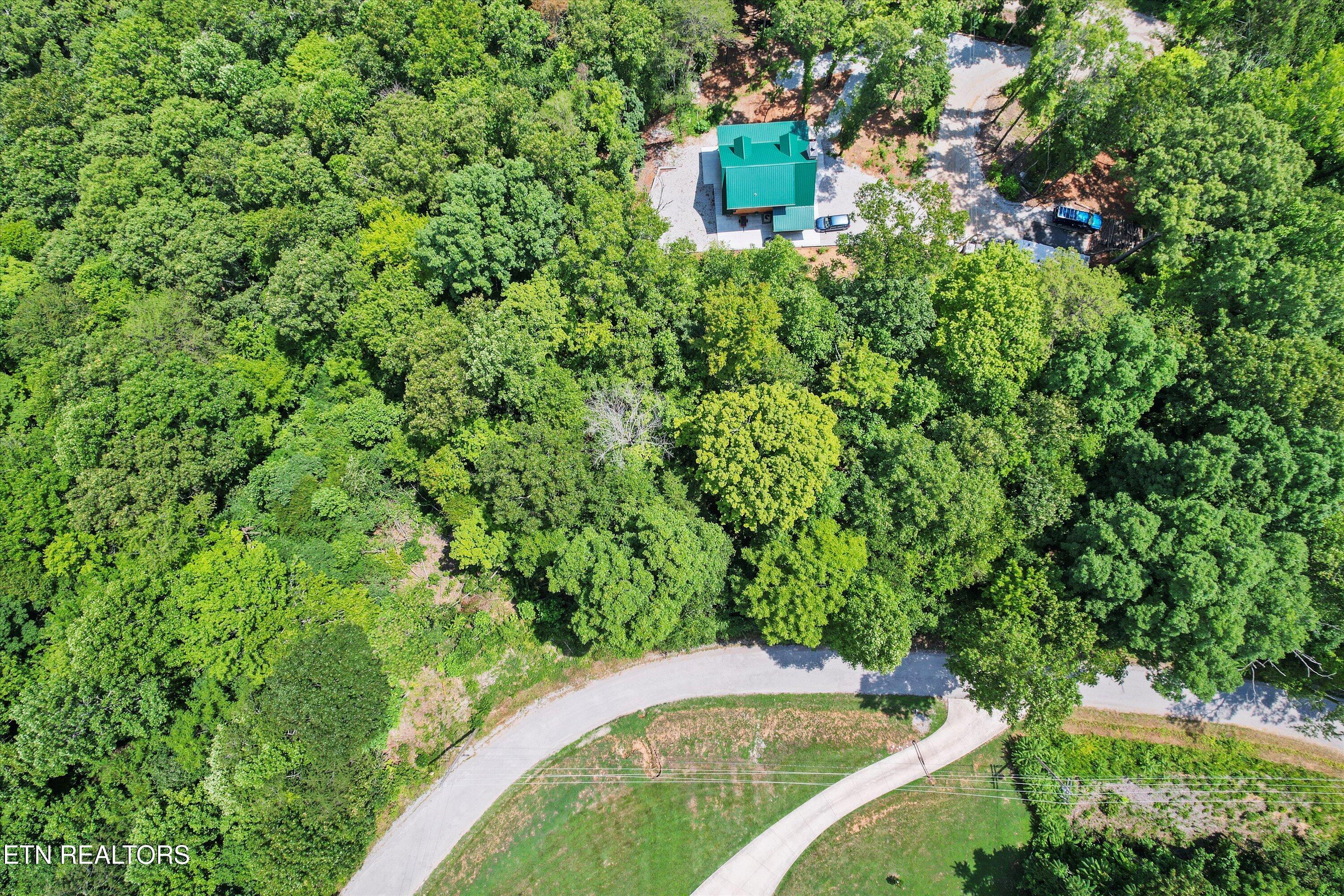 711 Jim Lee Ridge Road La Follette, TN 37766 - Photo 7 of 13 07-DJI_0037