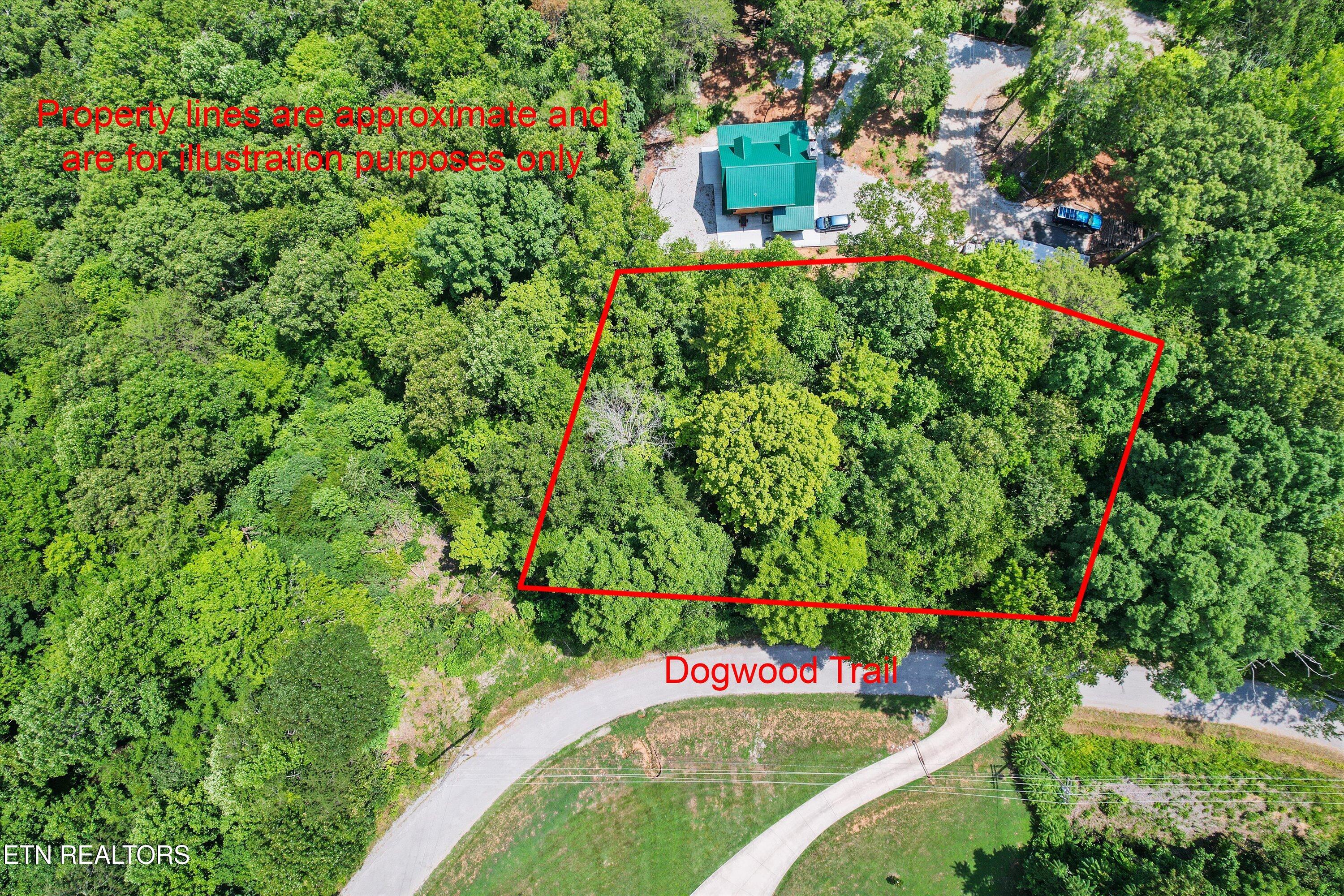 711 Jim Lee Ridge Road La Follette, TN 37766 - Photo 8 of 13 08-DJI_0037A