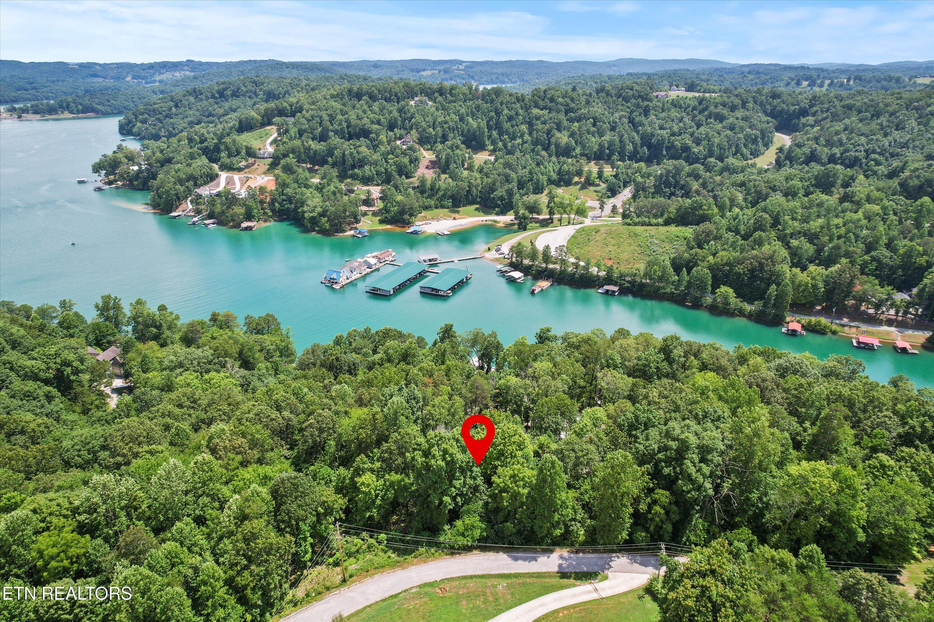 711 Jim Lee Ridge Road La Follette, TN 37766 - Photo 9 of 13 09-DJI_0043