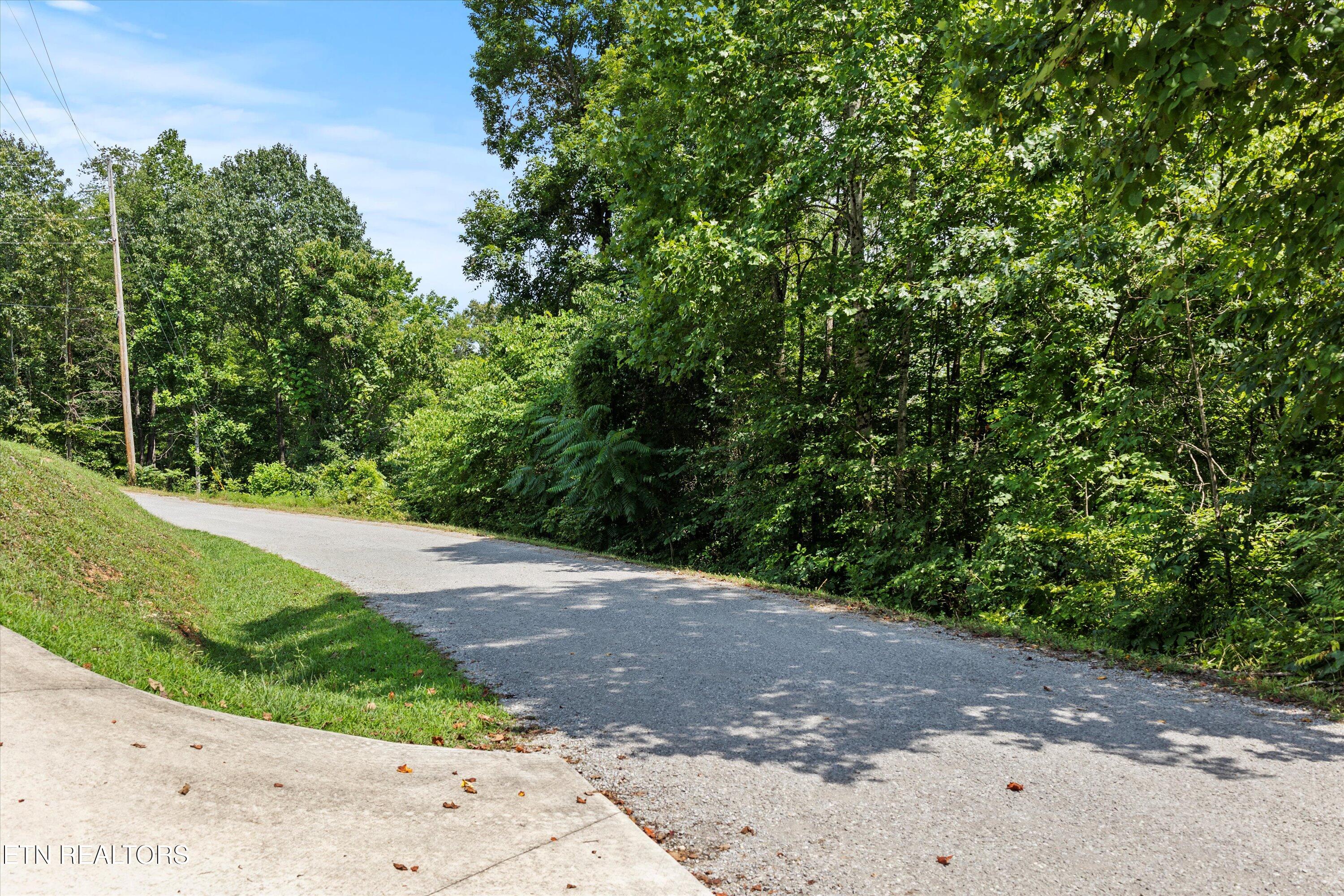 711 Jim Lee Ridge Road La Follette, TN 37766 - Photo 10 of 13 10-RS6_0002