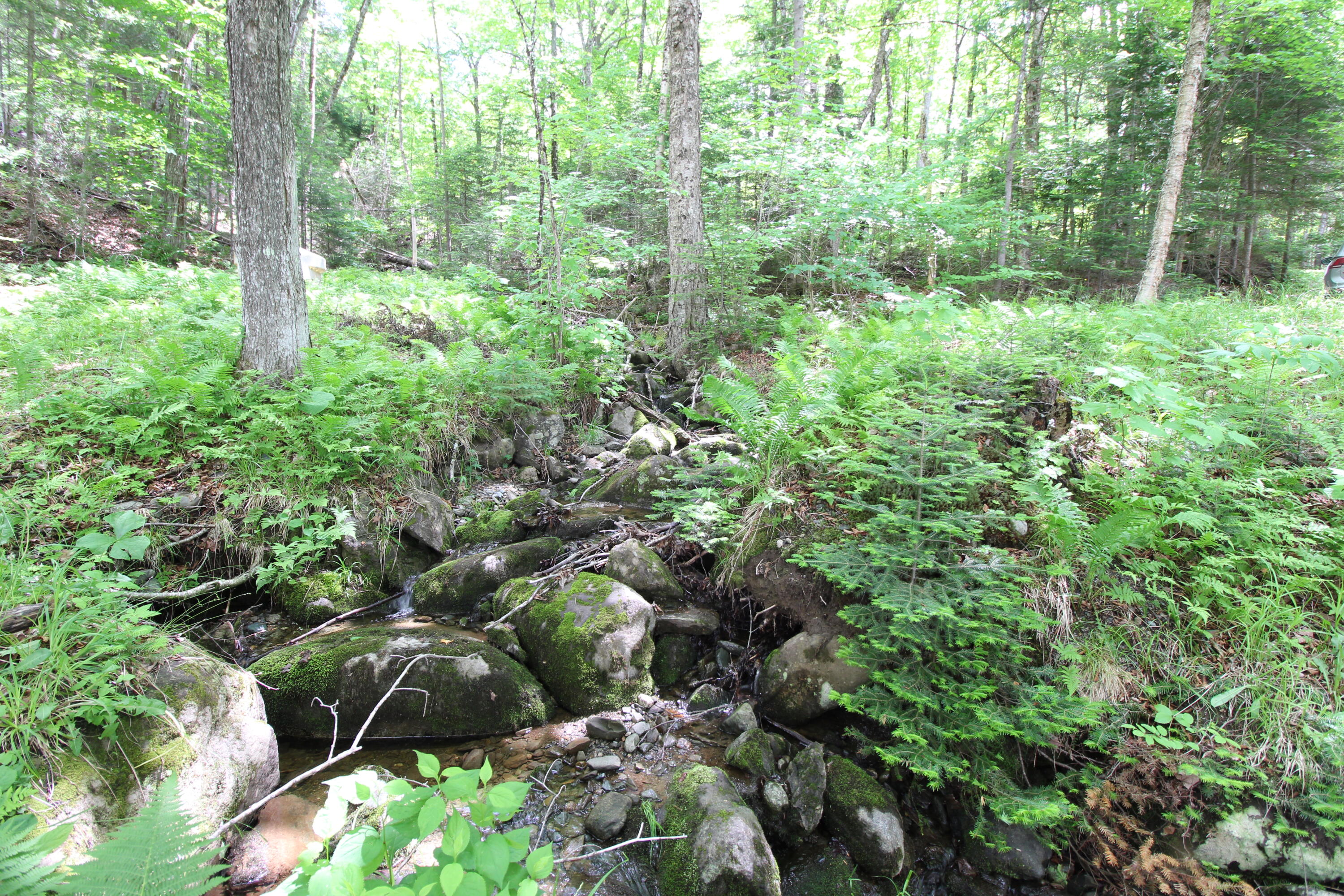 Lot 16.1 Alca Heights Road Oquossoc, ME 04964 - Photo 43 of 48 IMG_5839