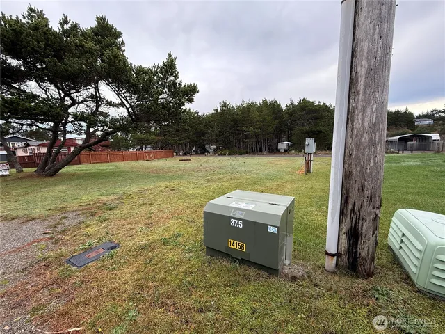 a view of a garden with a tree
