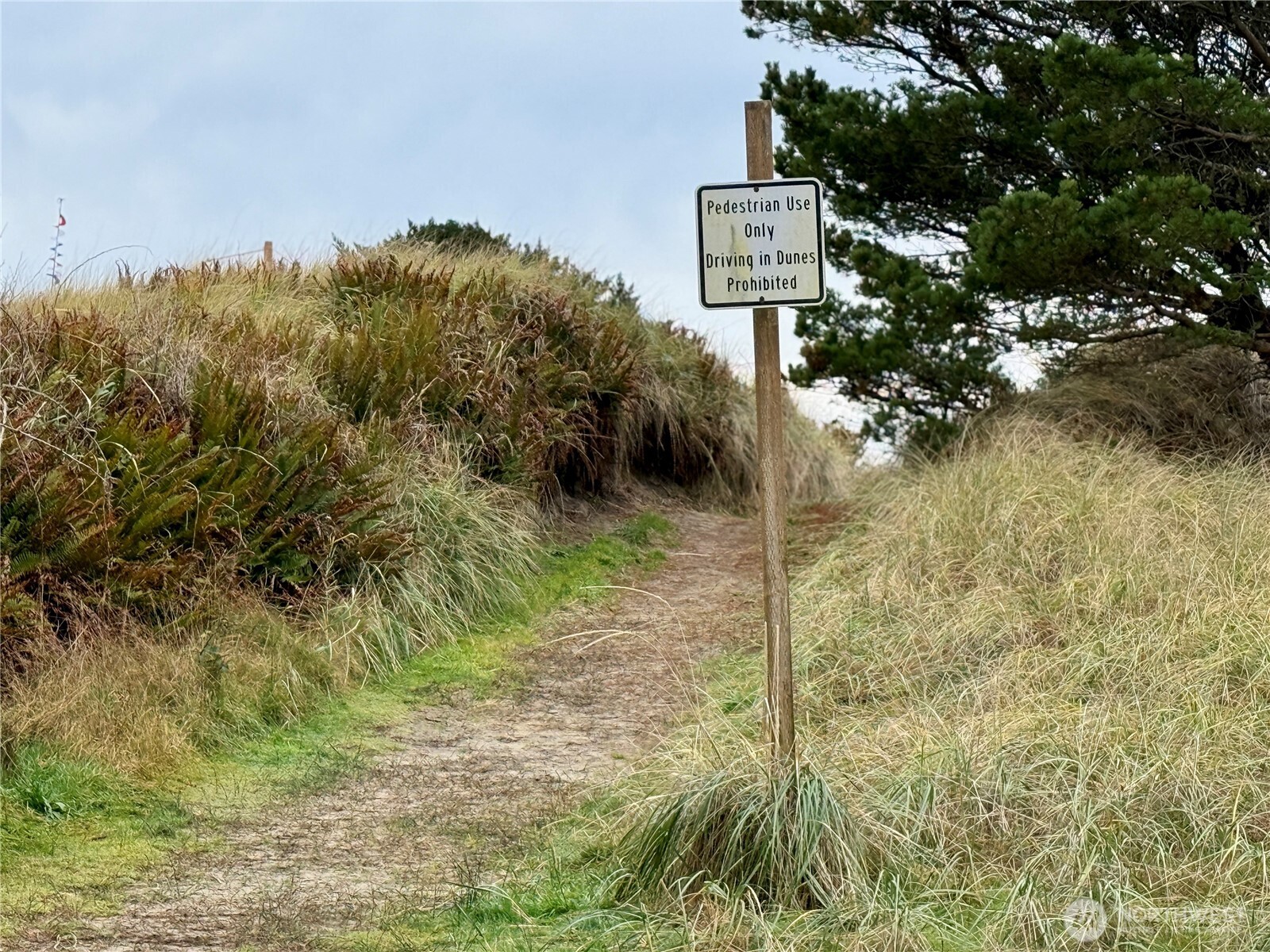 29528 G Street Ocean Park, WA 98640 - Photo 7 of 7 a street sign on a wall next to a road