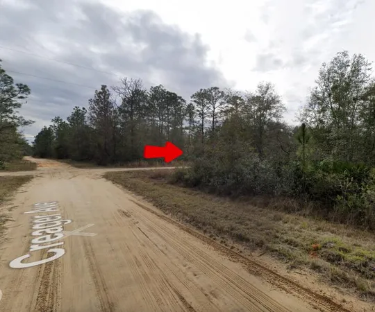 $20,000 | 0 Creager Avenue, Interlachen, FL 32148