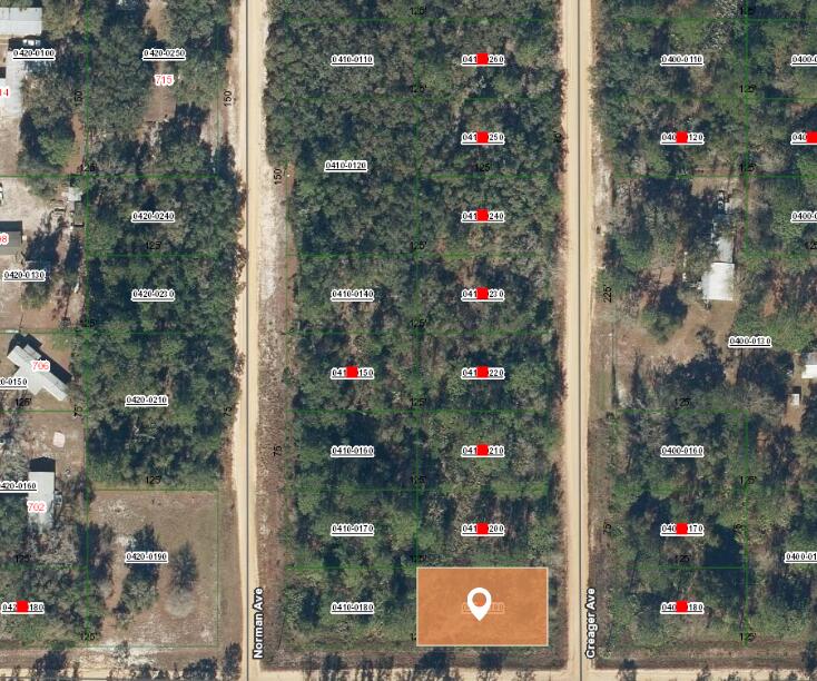 0 Creager Avenue Interlachen, FL 32148 - Photo 2 of 3 Aerial