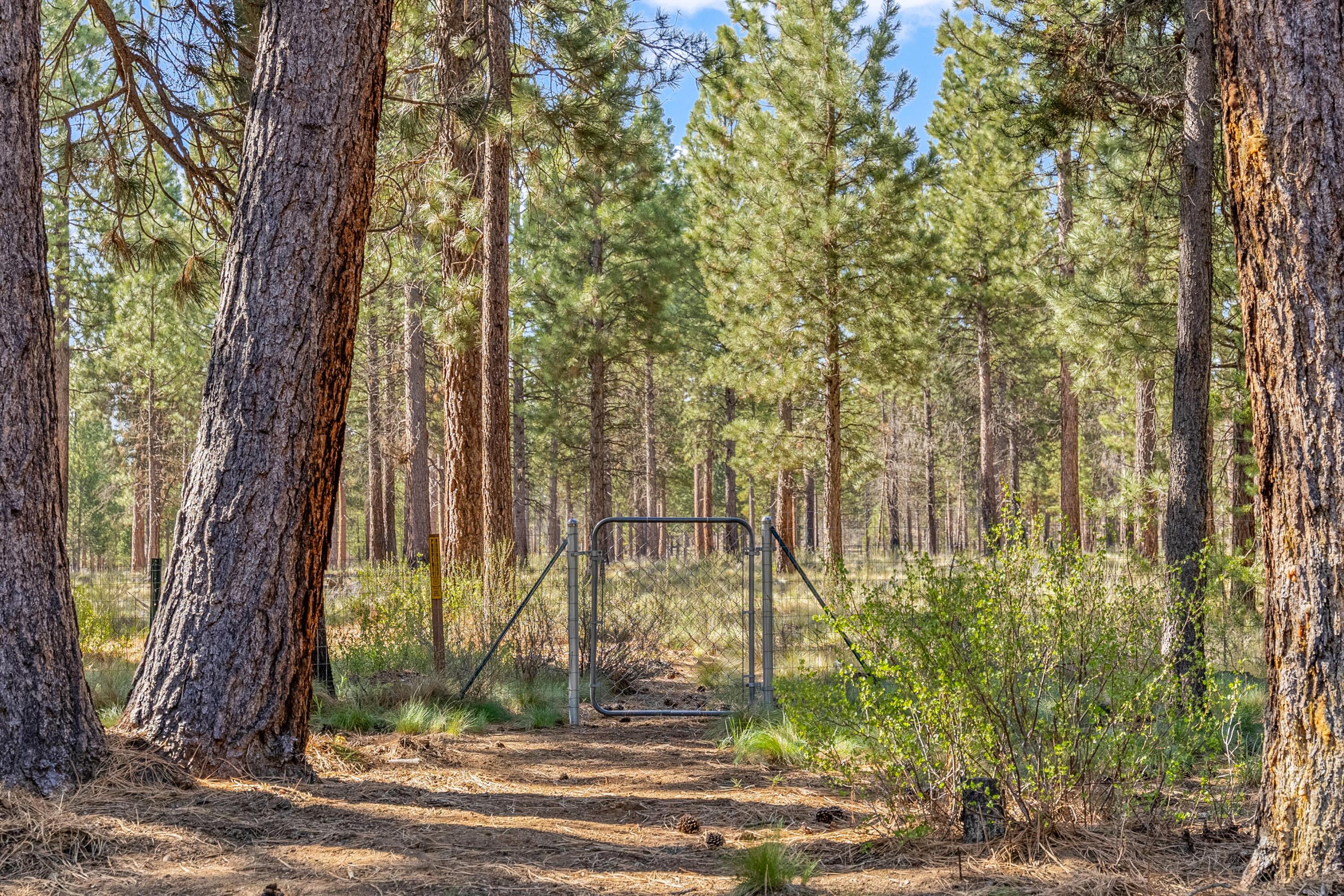 16983 Jacinto Road Bend, OR 97707 - Photo 4 of 29 a view of a tall trees