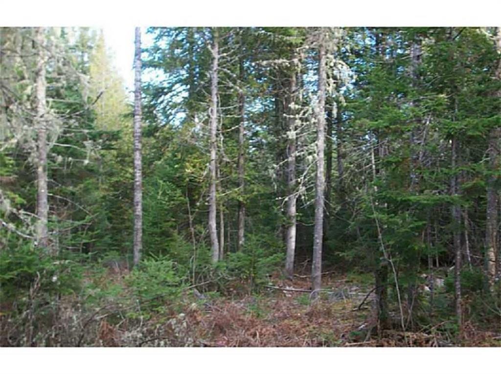 41 Webb Road Oakfield, ME 04763 - Photo 5 of 5 Maine Land for Sale in Oakfield