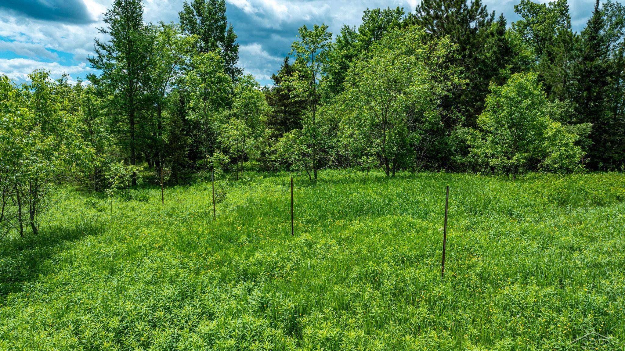 25615 Leo S Road Watton, MI 49970 - Photo 22 of 72