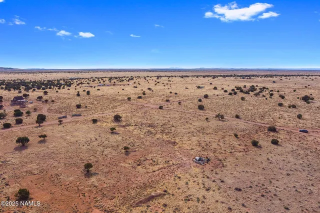 a view of a pathway of a yard