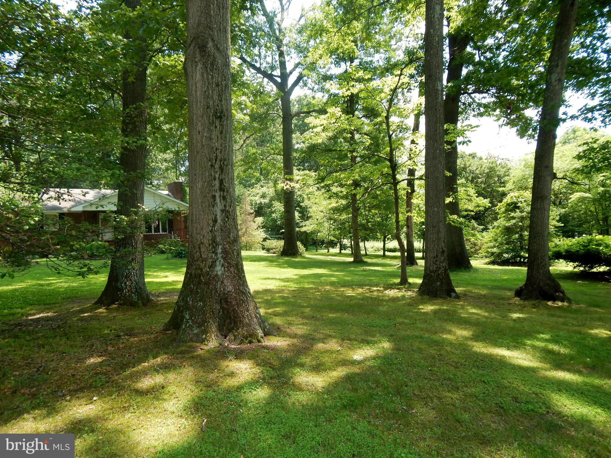 4312 Silver Spring Road Perry Hall, MD 21236 - Photo 6 of 22 Exterior (General)