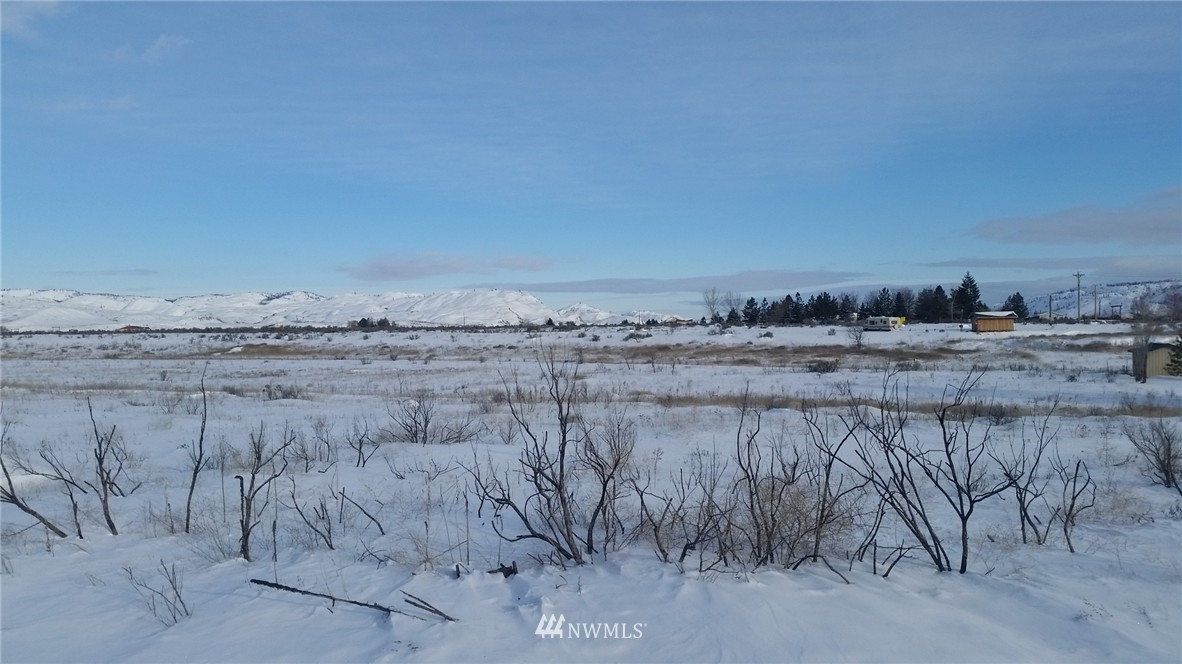 39 Bide-A-Wee Road Riverside, WA 98849 - Photo 1 of 2