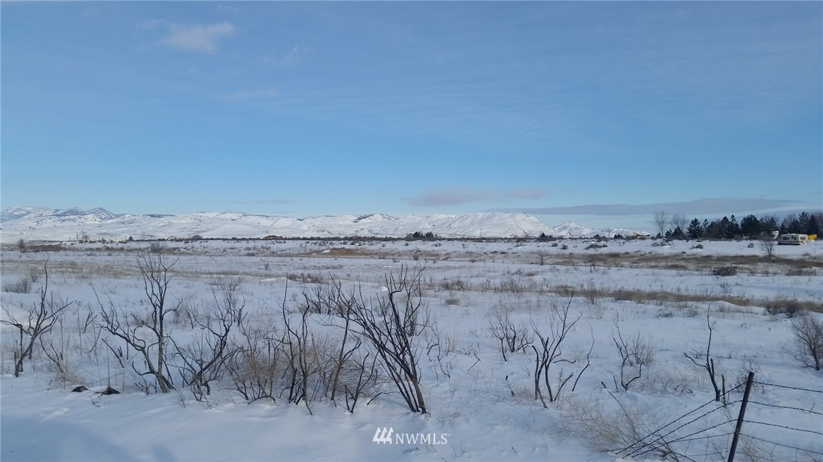 39 Bide-A-Wee Road Riverside, WA 98849 - Photo 2 of 2