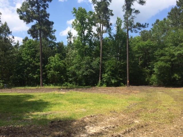 18 Locomotive Road Cottageville, SC 29435 - Photo 3 of 6 photo 4 (2)
