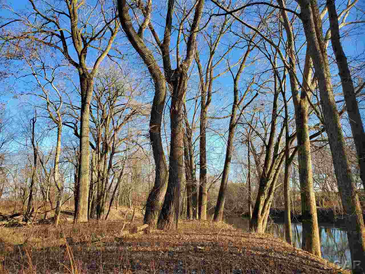 12000 Rouget Road Deerfield, MI 49238 - Photo 6 of 6
