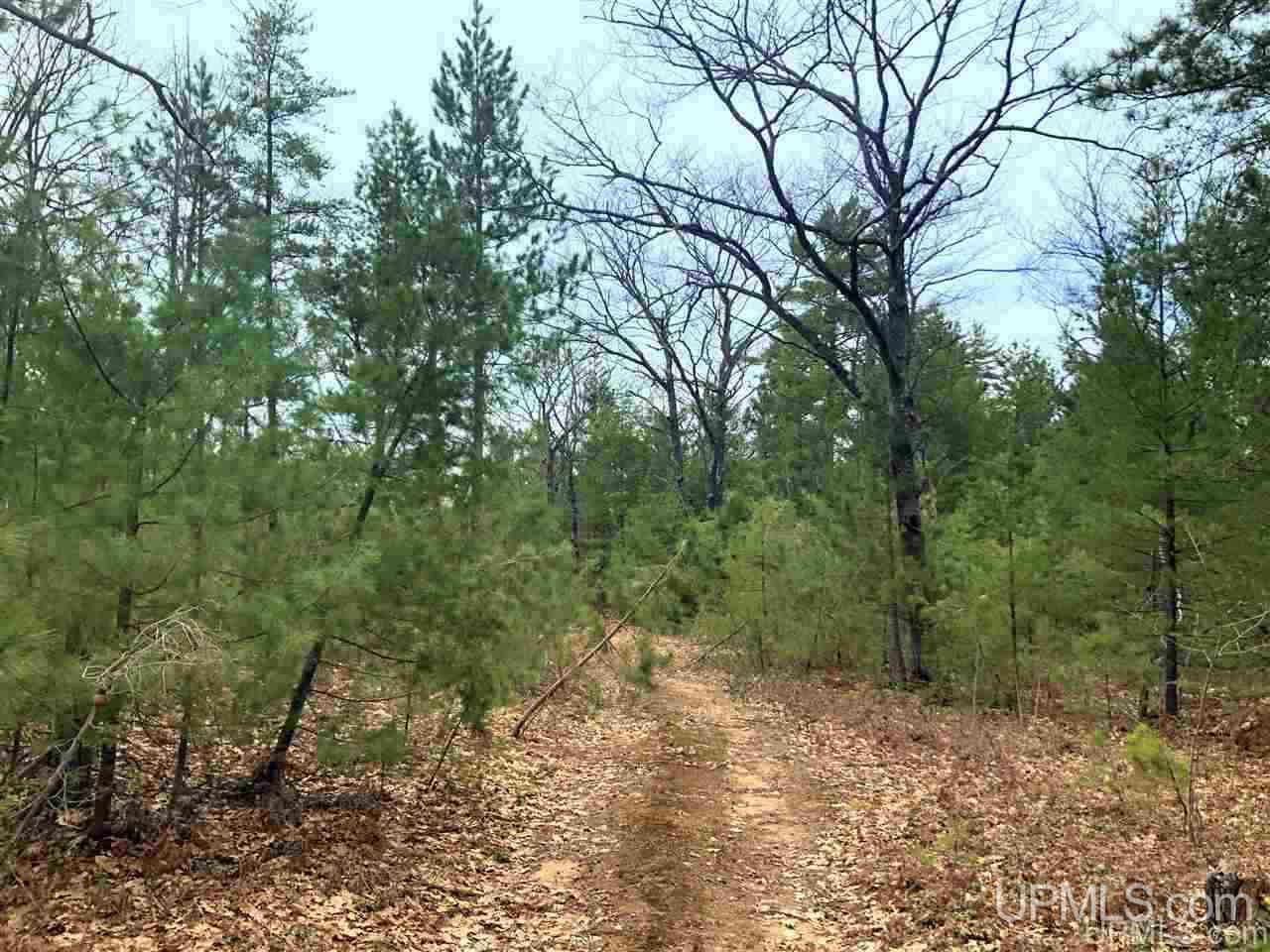 Tbd Valley Road Marquette, MI 49855 - Photo 18 of 59