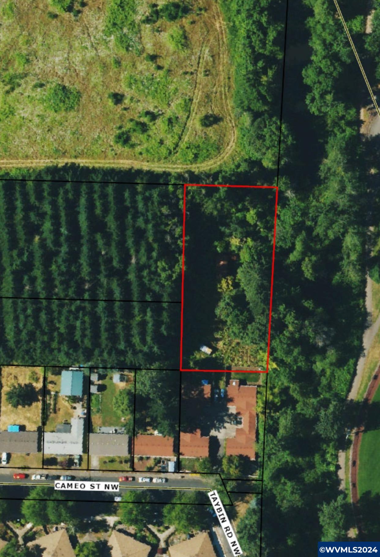 Lot 302 Cameo (behind) Road Salem, OR 97304 - Photo 30 of 31