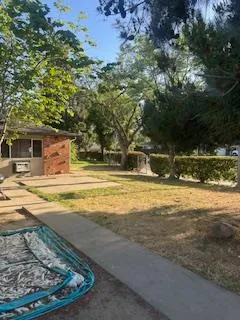 a view of swimming pool with a yard and large tree