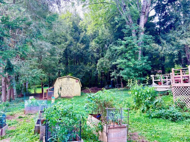 a garden view with a fountain