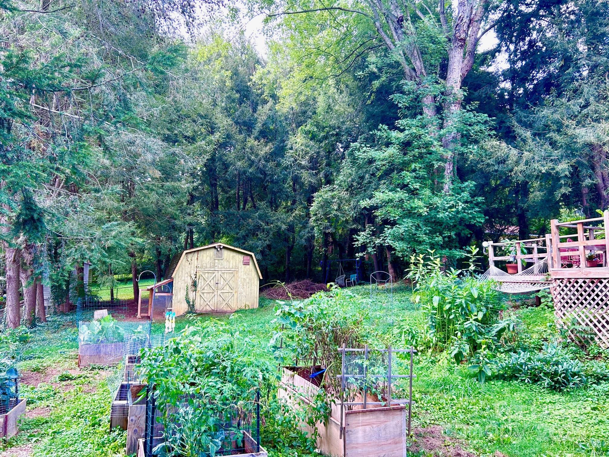 15 Pruitt Street Asheville, NC 28806 - Photo 13 of 19 a garden view with a fountain