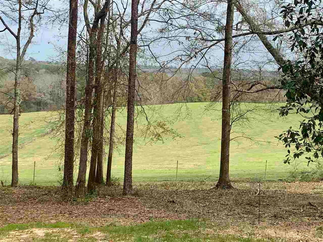 29982 Meadow Lane Road Andalusia, AL 36421 - Photo 5 of 16 Gallery Image 5