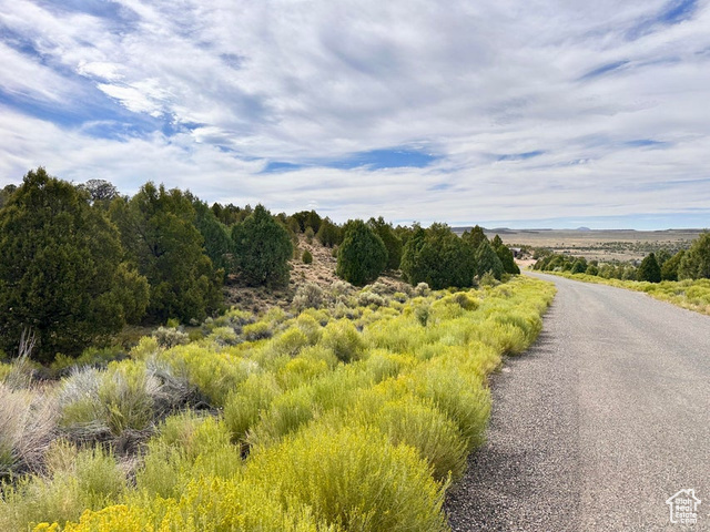 1730 East Eagle Circle Hatch, UT 84735 - Photo 3 of 14 View of local wilderness with rural landscape