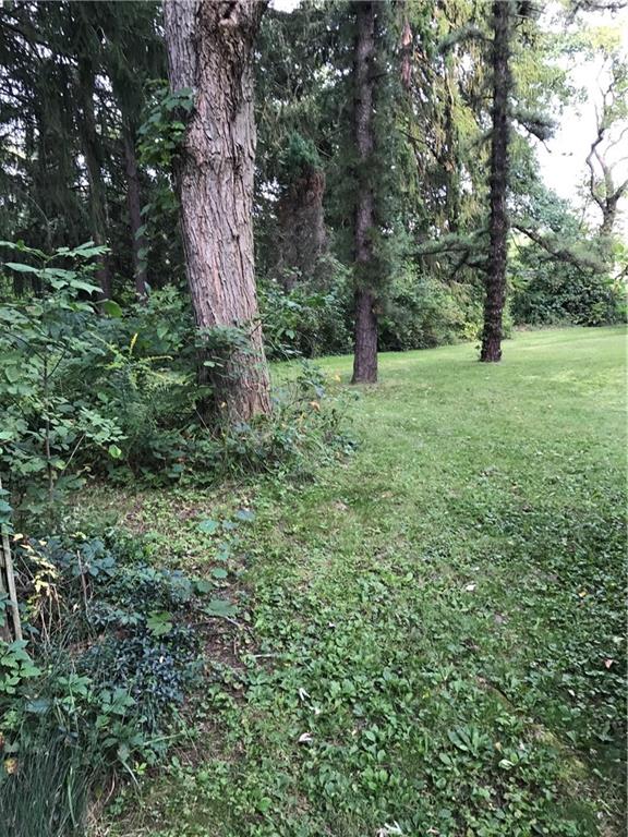 658 Ridge Road Pittsburgh, PA 15205 - Photo 5 of 22 Gallery Image 5