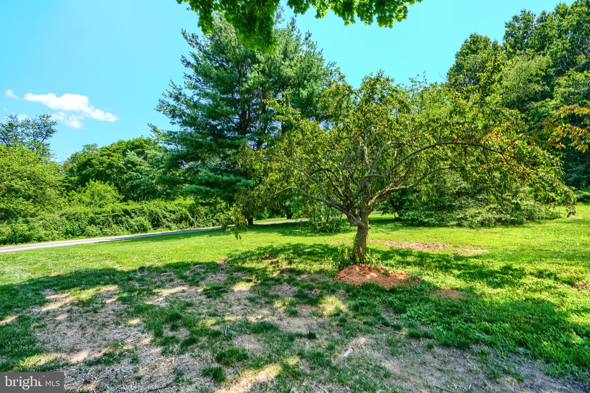 1701 Scott Road Pylesville, MD 21132 - Photo 79 of 91 Gallery Image 79