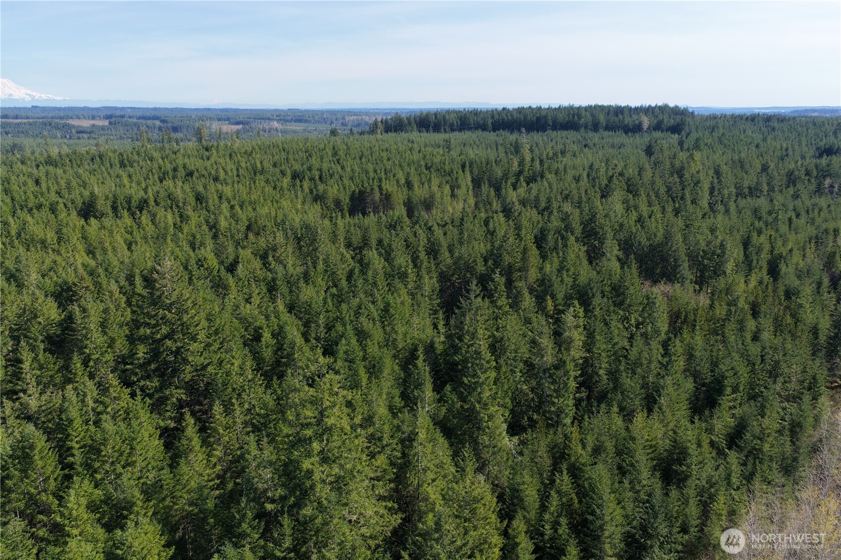 0 Romance Hill Road Belfair, WA 98528 - Photo 2 of 5 a view of a lush green forest with a mountain