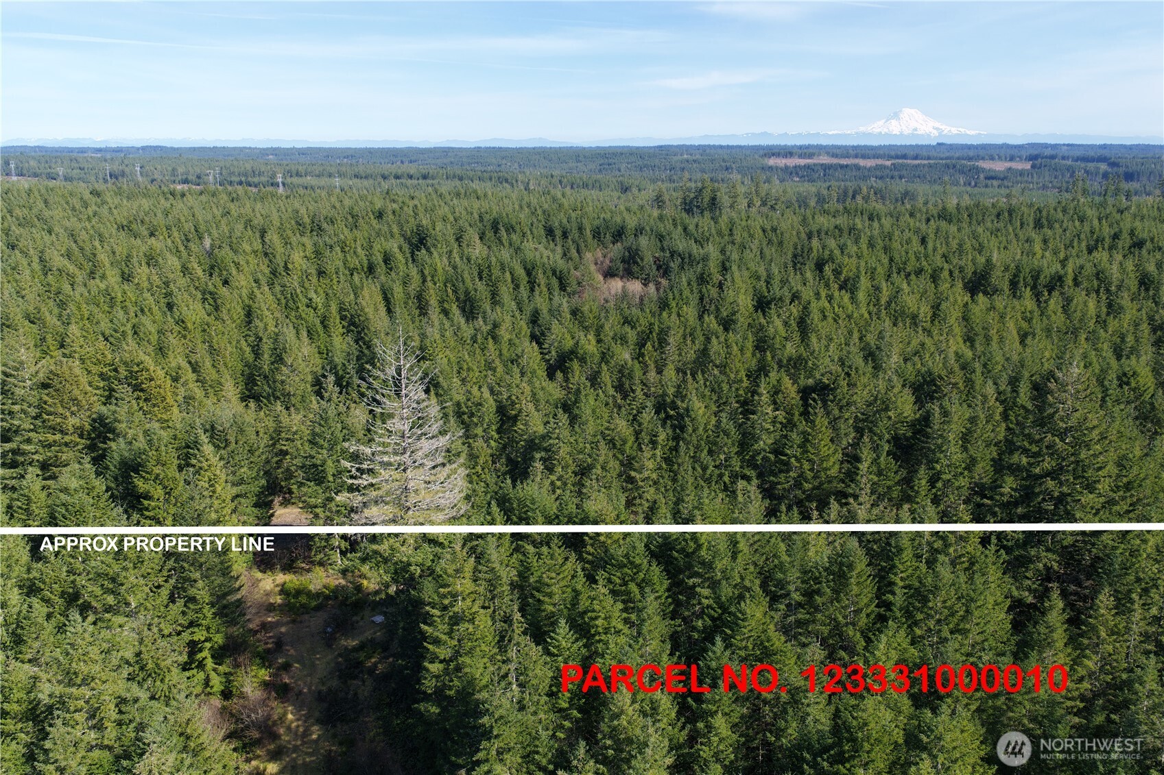 0 Romance Hill Road Belfair, WA 98528 - Photo 3 of 5 a view of a city with lush green forest