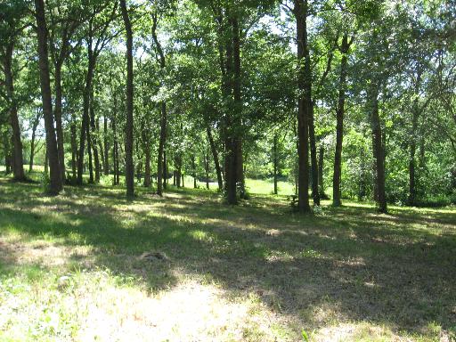 2260 West Oregon Trail Road Oregon, IL 61061 - Photo 3 of 7 a big yard with lots of green space and trees