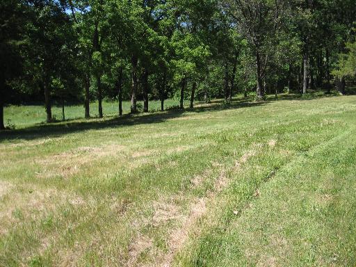 2260 West Oregon Trail Road Oregon, IL 61061 - Photo 5 of 7 a view of outdoor space with trees