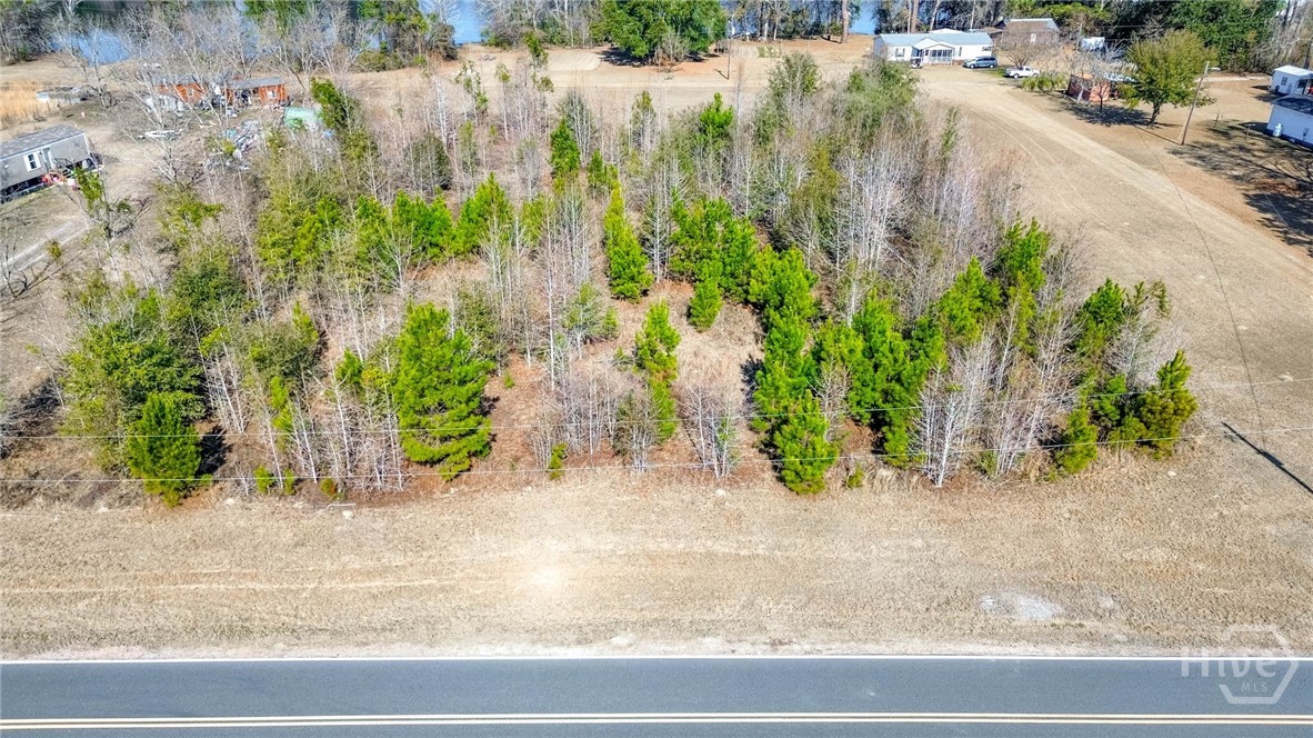 0 Clark Road Guyton, GA 31312 - Photo 2 of 14