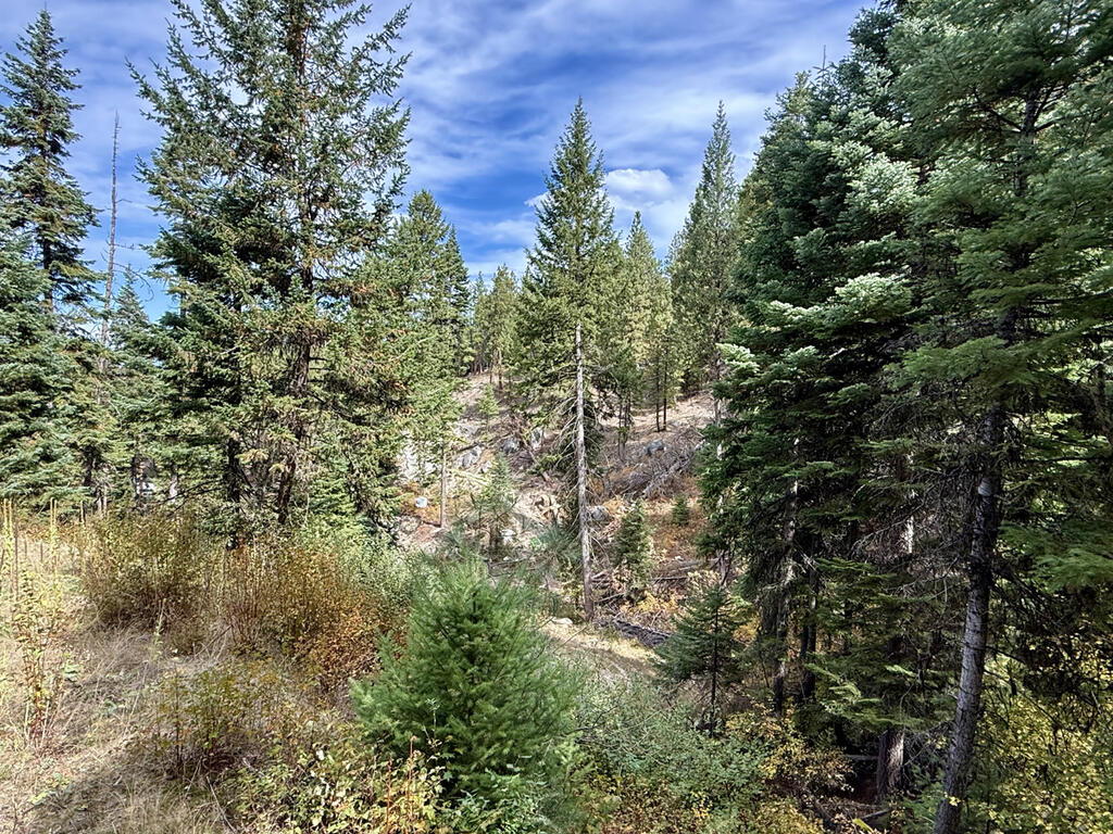 10 Crocus Court, Unit 40 Cascade, ID 83611 - Photo 13 of 16 Watch for Wildlife