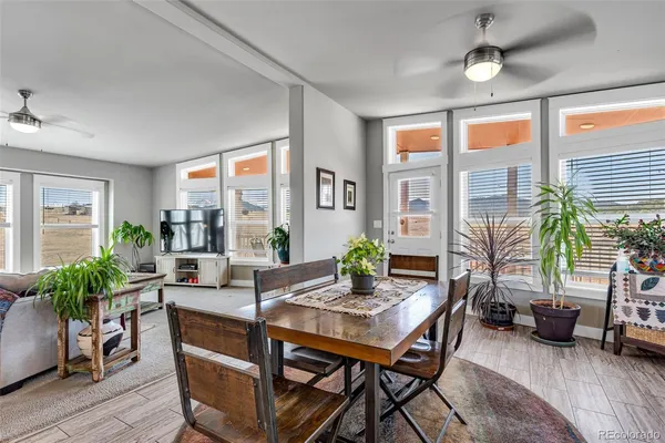 a view of a livingroom with furniture and a potted plant