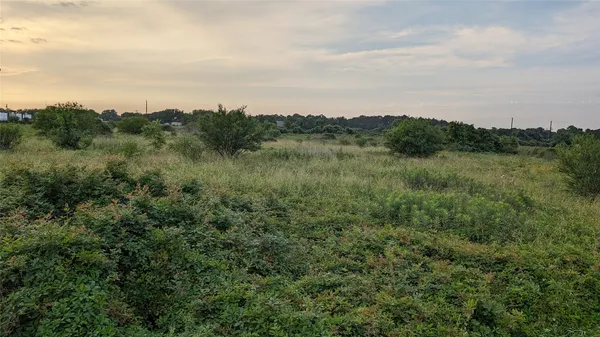 a view of a field of grass and trees