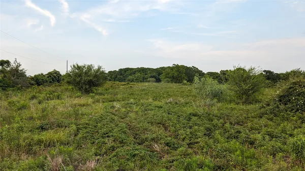 a view of a lake from a yard