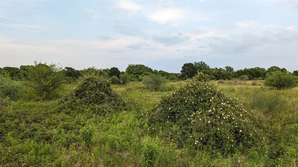 $595,000 | 0 Us-59 Highway, East Bernard, TX 77435