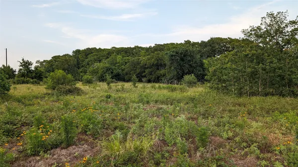 a view of a field of grass and trees