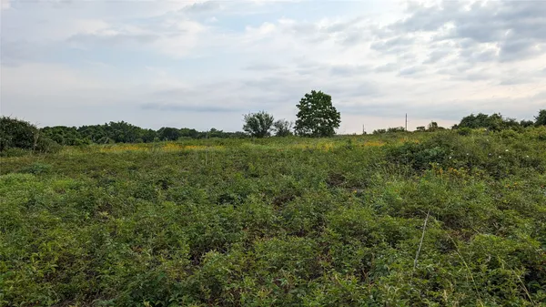 a view of a lake and green valley