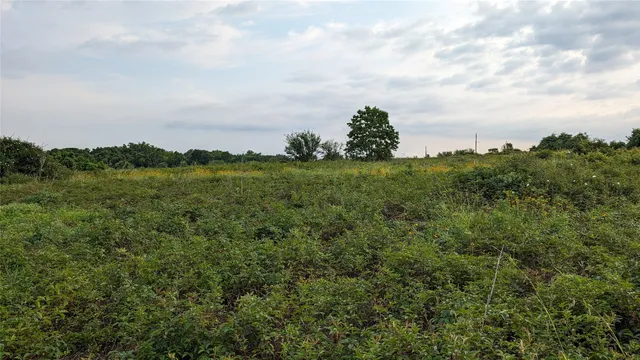 a view of a lake and green valley