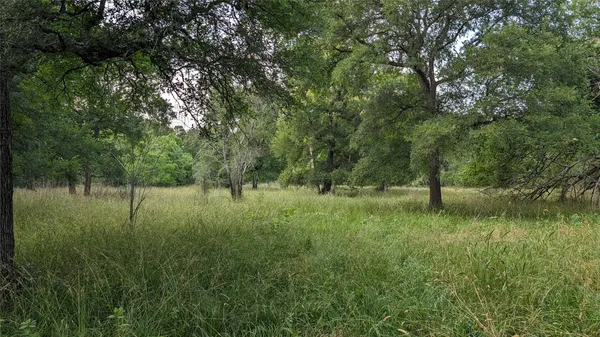 a view of a yard next to a lake