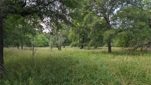 a view of a yard next to a lake