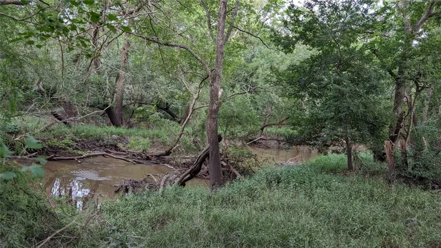 a view of a yard next to a large trees