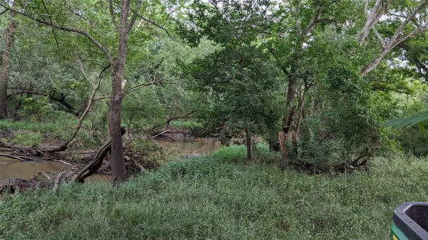 a view of a field of grass and trees
