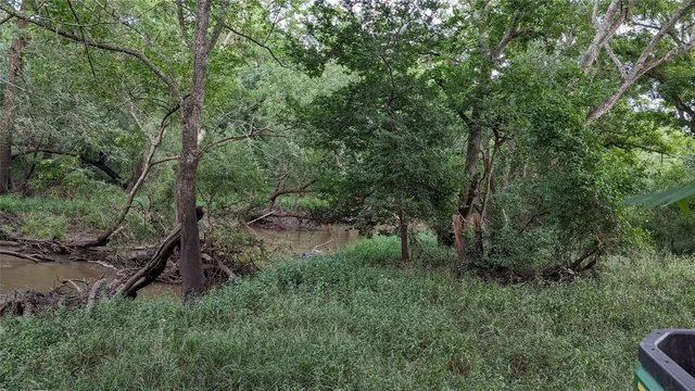 a view of a field of grass and trees