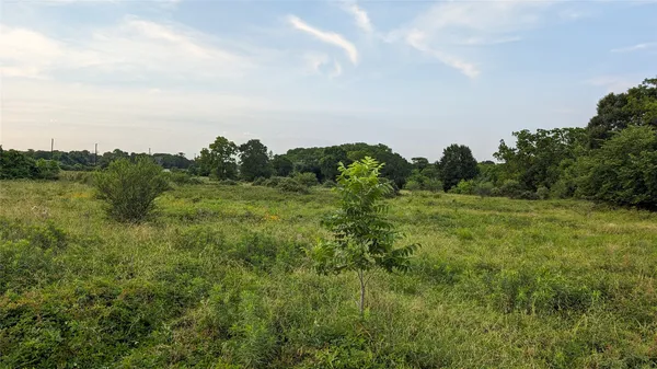 a view of a green field with lots of bushes
